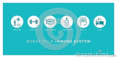 How to boost your immune system naturally Vector Illustration