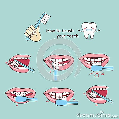 How to brush your teeth, Vector Illustration