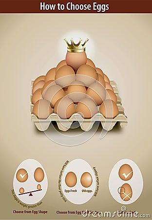 How to Choose Eggs Vector Illustration