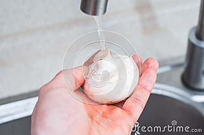 How to clean and wash champignon porcini mushroom before eating Stock Photo