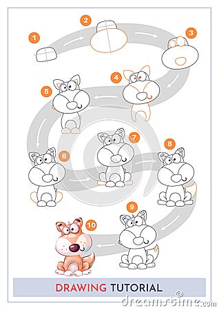 How to Draw a Fox. Step by Step Drawing Tutorial. Draw Guide. Simple Instruction for Kids and Adults Vector Illustration