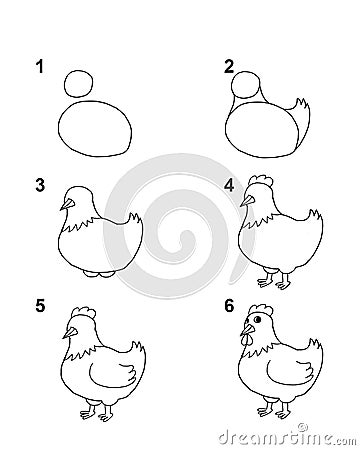 How to draw Hen with 6 step cartoon illustration with white background Cartoon Illustration