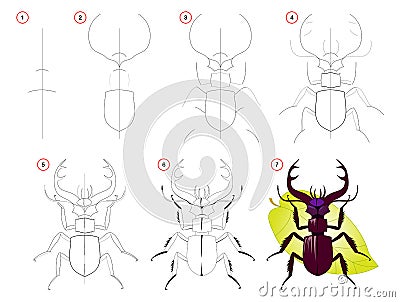 How to draw step by step a cute stag beetle. Educational page for kids. Back to school. Vector Illustration