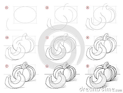 How to draw step-wise picture of still life with pumpkin. Creation step by step pencil drawing. Educational page. Vector Illustration