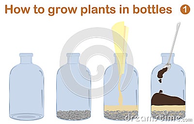 How to grow plants in bottles Vector Illustration