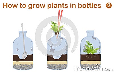 How to grow plants in bottles Vector Illustration