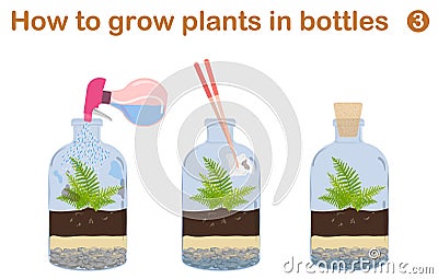 How to grow plants in bottles Vector Illustration