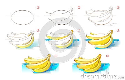 How to learn to draw sketch of a bunch of bananas. Creation step by step watercolor painting. Educational page for artists. Vector Illustration