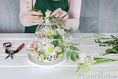 How to make floral arrangement with roses, dahlias and iris flowers inside a vintage bird cage Stock Photo