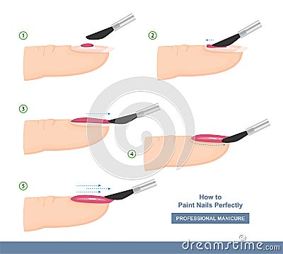 How to paint nails perfectly. Side View. Tips and Tricks. Manicure Guide. Vector Vector Illustration