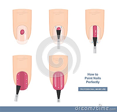 How to paint nails perfectly. Top View. Tips and Tricks. Manicure Guide. Vector Vector Illustration