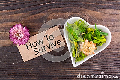 How to survive word on card Stock Photo