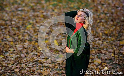 How to take care of your hair in autumn. How repair bleached hair fast and safely. Autumn hair care important so as to Stock Photo