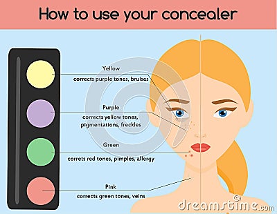 How to use concealer. Make up, cosmetics, beauty infographics for women. Skin health Vector Illustration