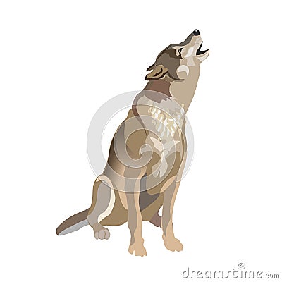 Howling gray wolf Vector Illustration