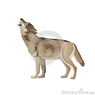 Howling gray wolf Vector Illustration