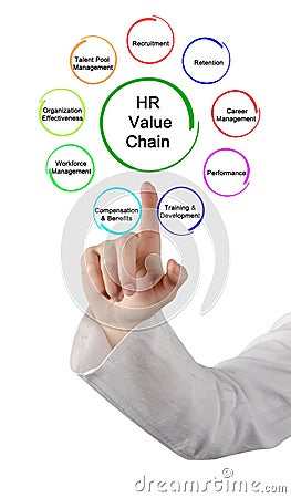 HR Analytic Value Chain Stock Photo