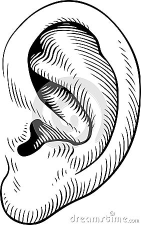 Ht-vector human ear. Vector Illustration