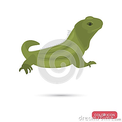 Httery lizard color flat icon for web and mobile design Vector Illustration