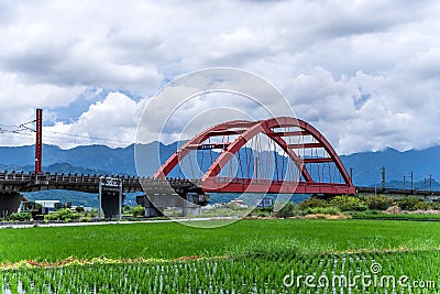 A train across a m-type Red Bridge on the lush paddy fields, is Taiwan sight in East on August 14 2018 in Hualien, Taiwan Editorial Stock Photo