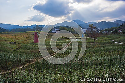 A windmill in huangshan west of huangshan, anhui province Editorial Stock Photo
