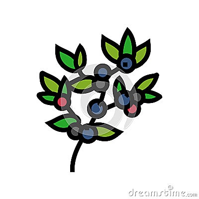huckleberry bilbery plant color icon vector illustration Cartoon Illustration