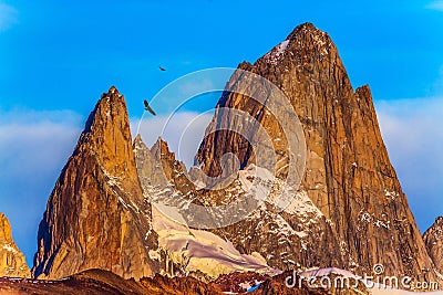 Huge Andean condors fly in the sky Stock Photo