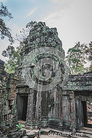 Huge Banyan Tree Ancient Angkor Wat Ruins Panorama Sunrise Asia. Siem Reap, Cambodia Stock Photo