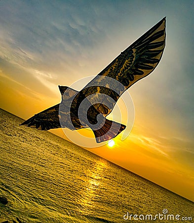 Beautiful eagle kite flying at the beach side Stock Photo