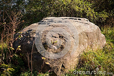 A huge boulder of glacial origin in the forest Stock Photo