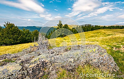 Huge boulder on a grassy meadow Stock Photo