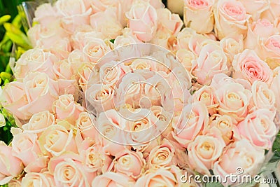 Huge bouquet of pink, beige roses in the shop. Flowers in bundles. Wholesale and retail selling in floristic base for Stock Photo