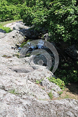 Huge cilffs in a forest Stock Photo