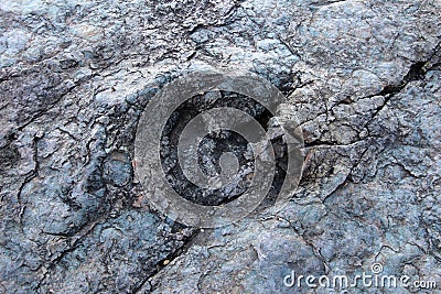 Huge dinosaur footprints, Maragua, Bolivia Stock Photo