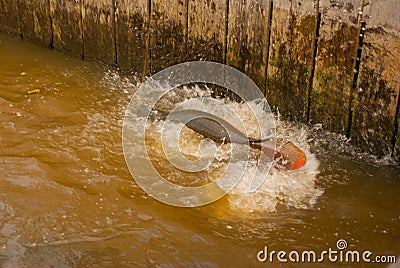 A huge fish on the hook, trying to catch a tourist. Manaus, Amazonas, Brazil Stock Photo