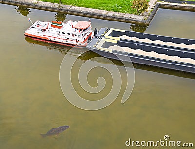 Huge Fish next to a Ship Stock Photo