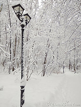 After a huge heavy snowfall Stock Photo