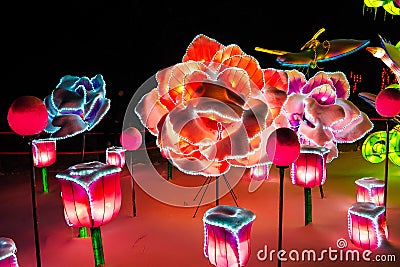 Huge luminous figure of red, blue, pink rose flower Editorial Stock Photo