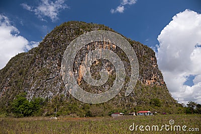 Huge mogote in the valley of Vinales, Cuba Stock Photo