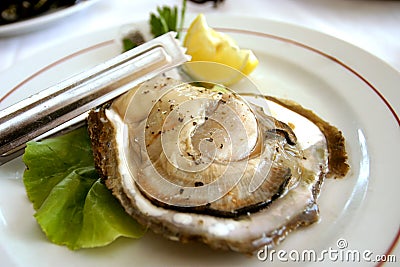 Huge Oyster Stock Photo