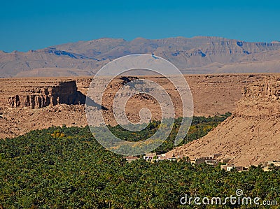 Huge palm grove in Ziz valley, Morocco. Aerial view Stock Photo