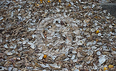 Huge pile of oyster shells at Cancale, France Stock Photo