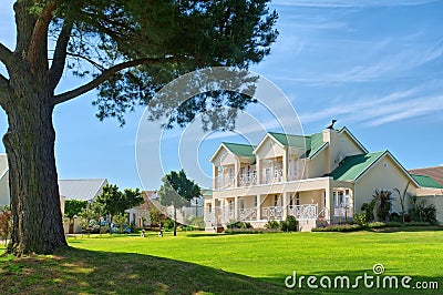 Huge pine tree and expensive house on golf estate Stock Photo