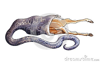 Huge python Stock Photo