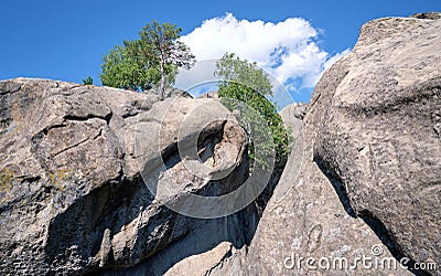 Huge rocky boulder formations high in mountains with growing trees on summer sunny day Stock Photo