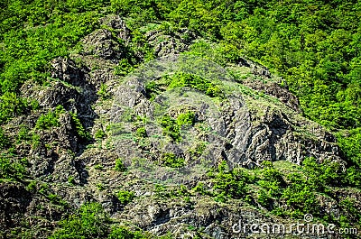 Huge rocky mountain wall covered in trees Stock Photo