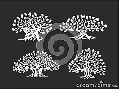 Huge and sacred oak tree silhouette logo isolated on background. Vector Illustration