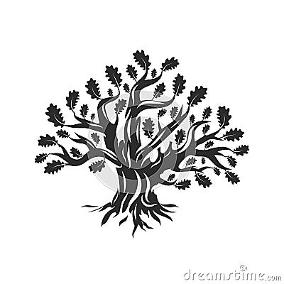 Huge and sacred oak tree silhouette logo isolated on white background. Vector Illustration