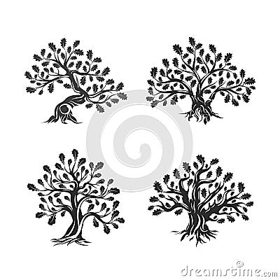 Huge and sacred oak tree silhouette logo isolated on white background. Vector Illustration