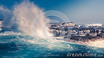 Huge sea waves splashing over the rocks and cape fur seal resting on the rocks at Capetown, South Africa Editorial Stock Photo